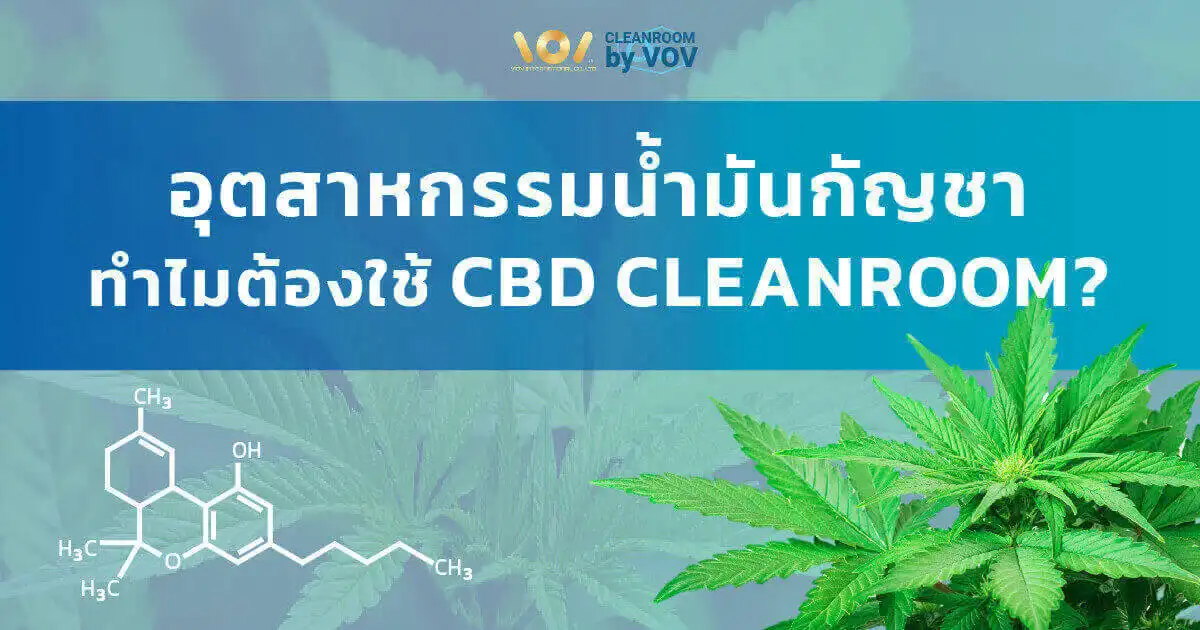 CBD Cleanroom สำหรับอุตสาหกรรมน้ำมันกัญชาในประเทศไทย โดย VOV